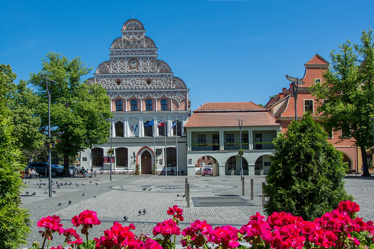 Widok miasta Stargard
