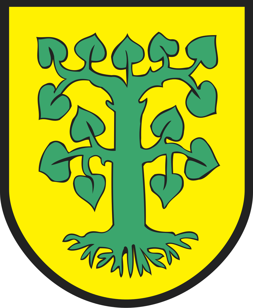 Herb miasta Borne Sulinowo