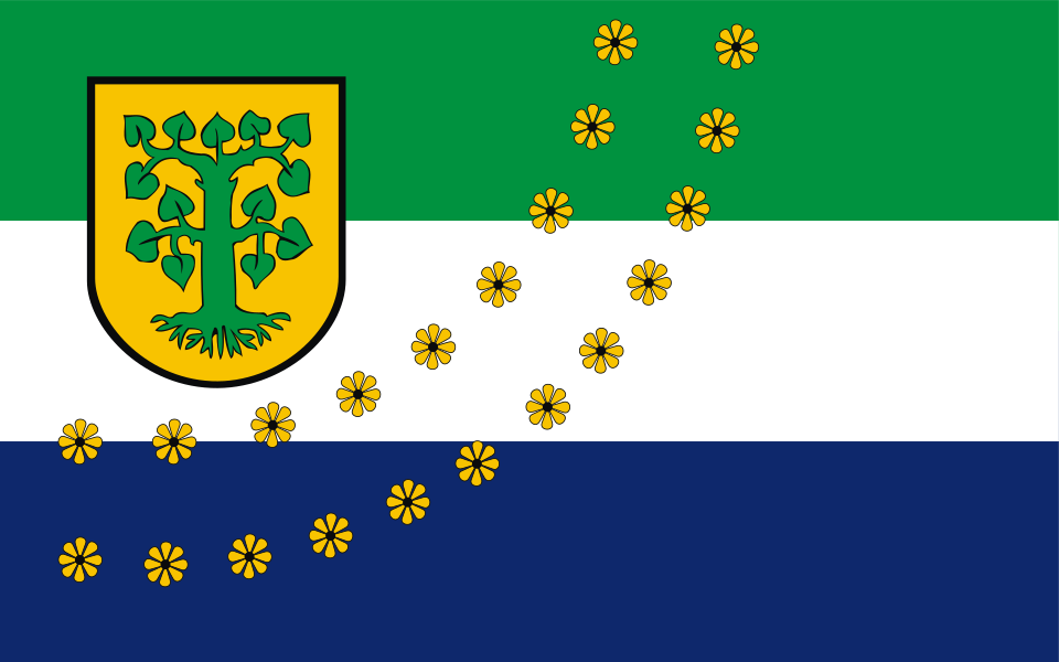 Flaga miasta Borne Sulinowo