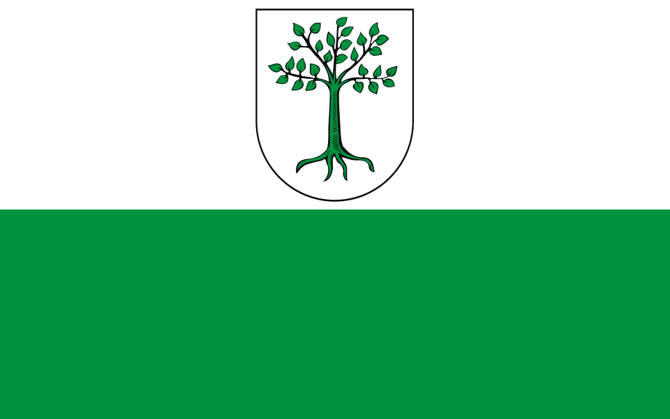 Flaga miasta Kruszwica