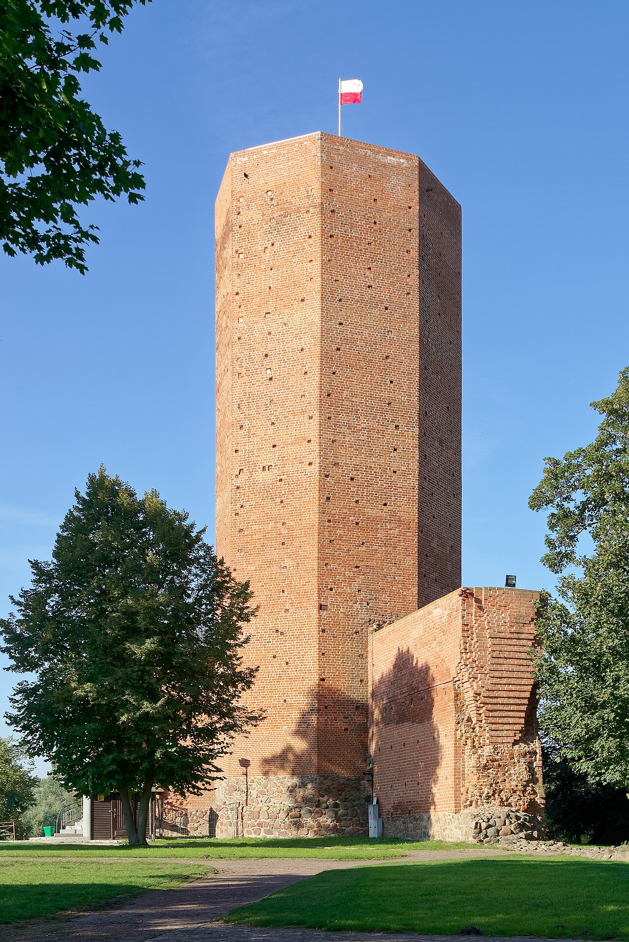Widok miasta Kruszwica