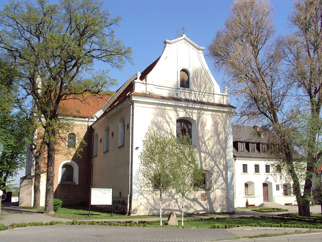 Widok miasta Pakość