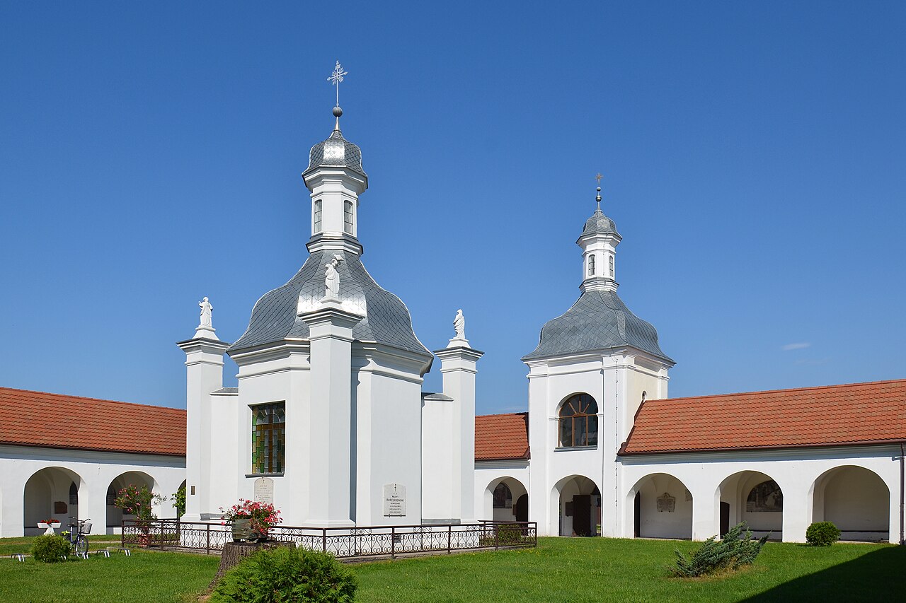 Widok miasta Skępe