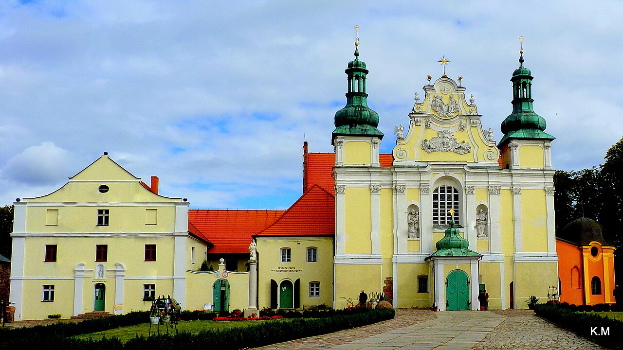 Widok miasta Strzelno