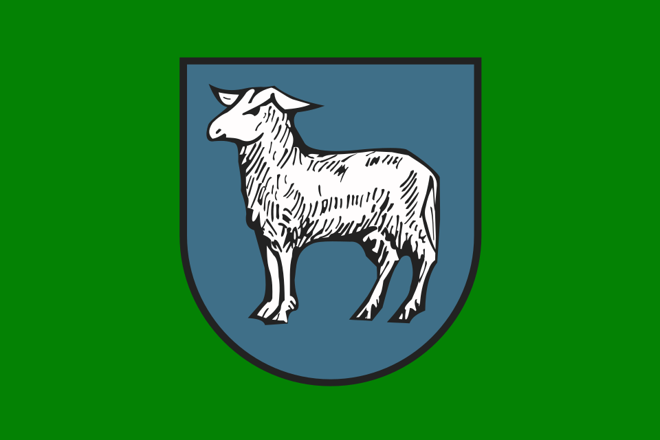 Flaga miasta Mrocza