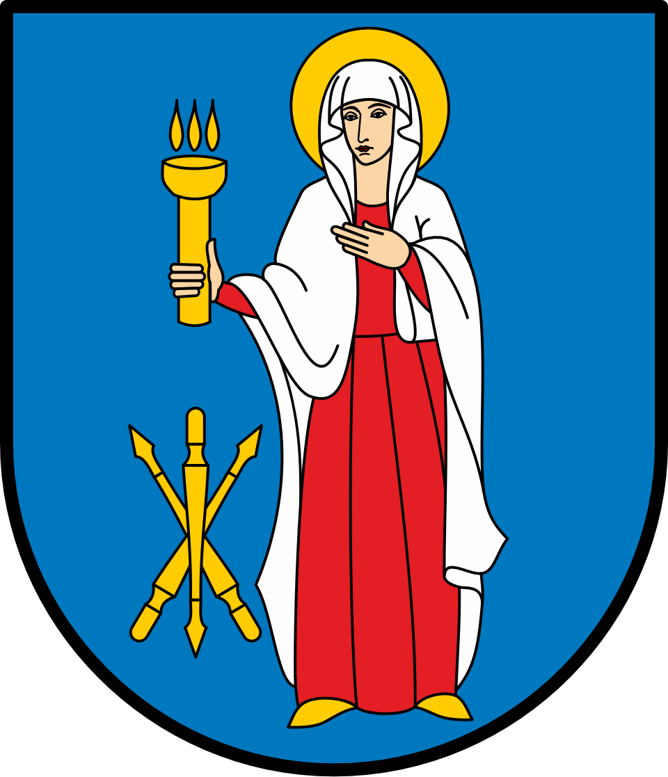 Herb miasta Janów Lubelski