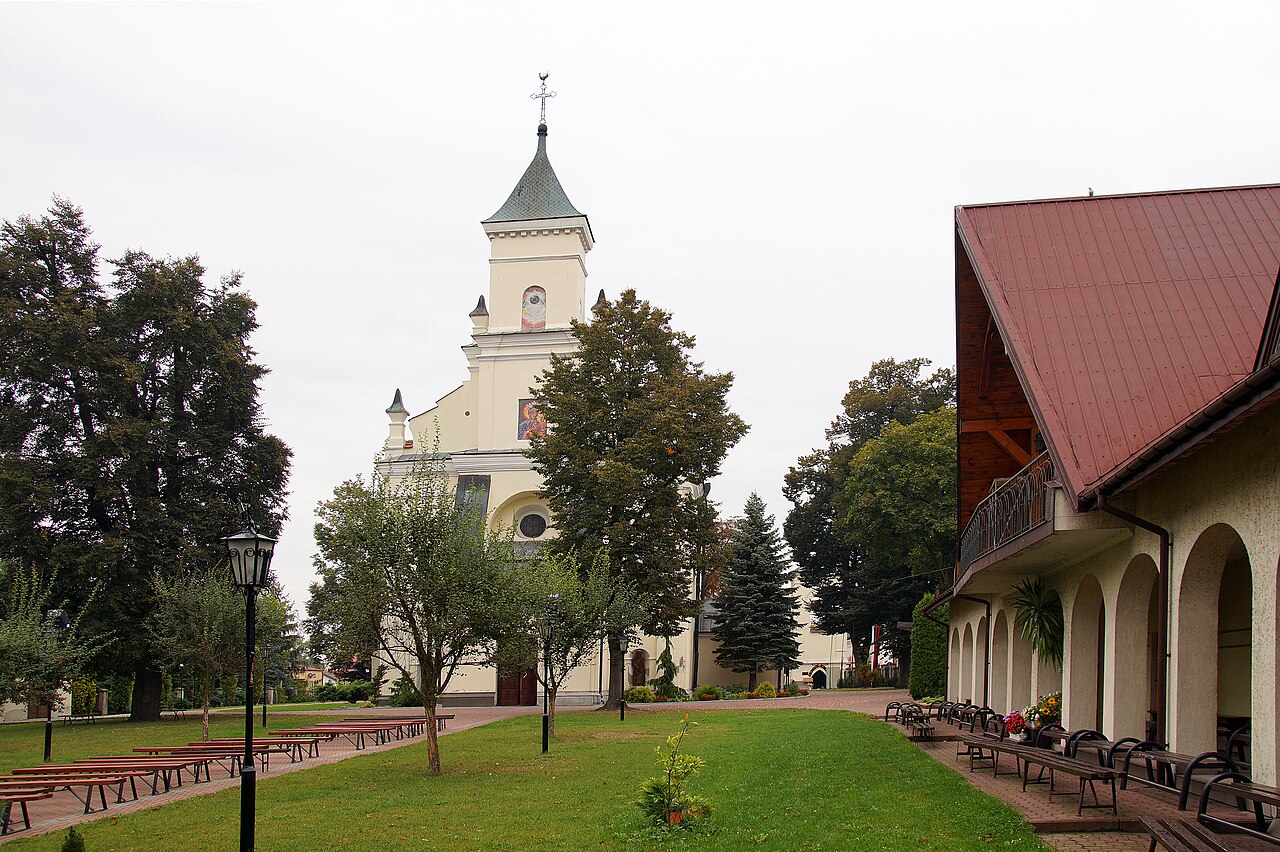 Widok miasta Bełżyce