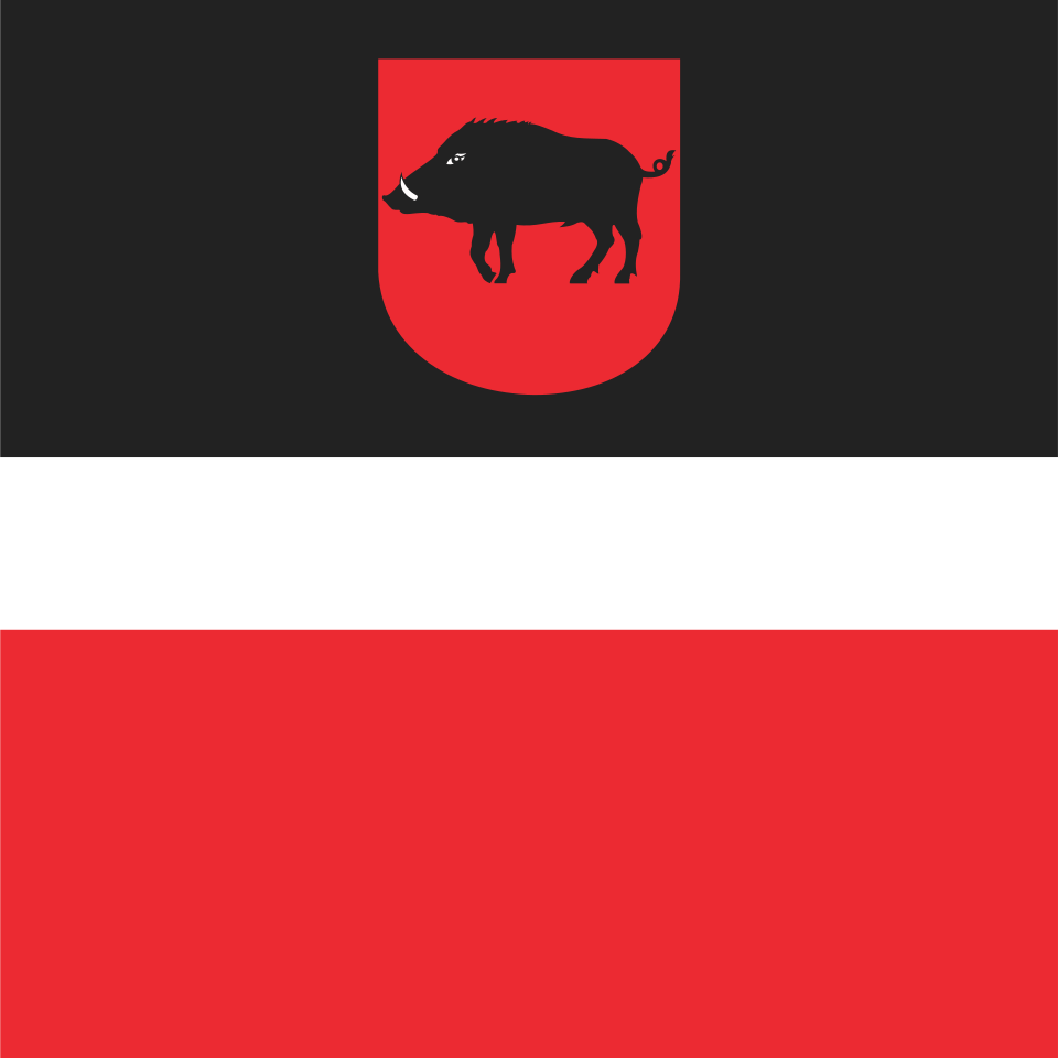Flaga miasta Łęczna