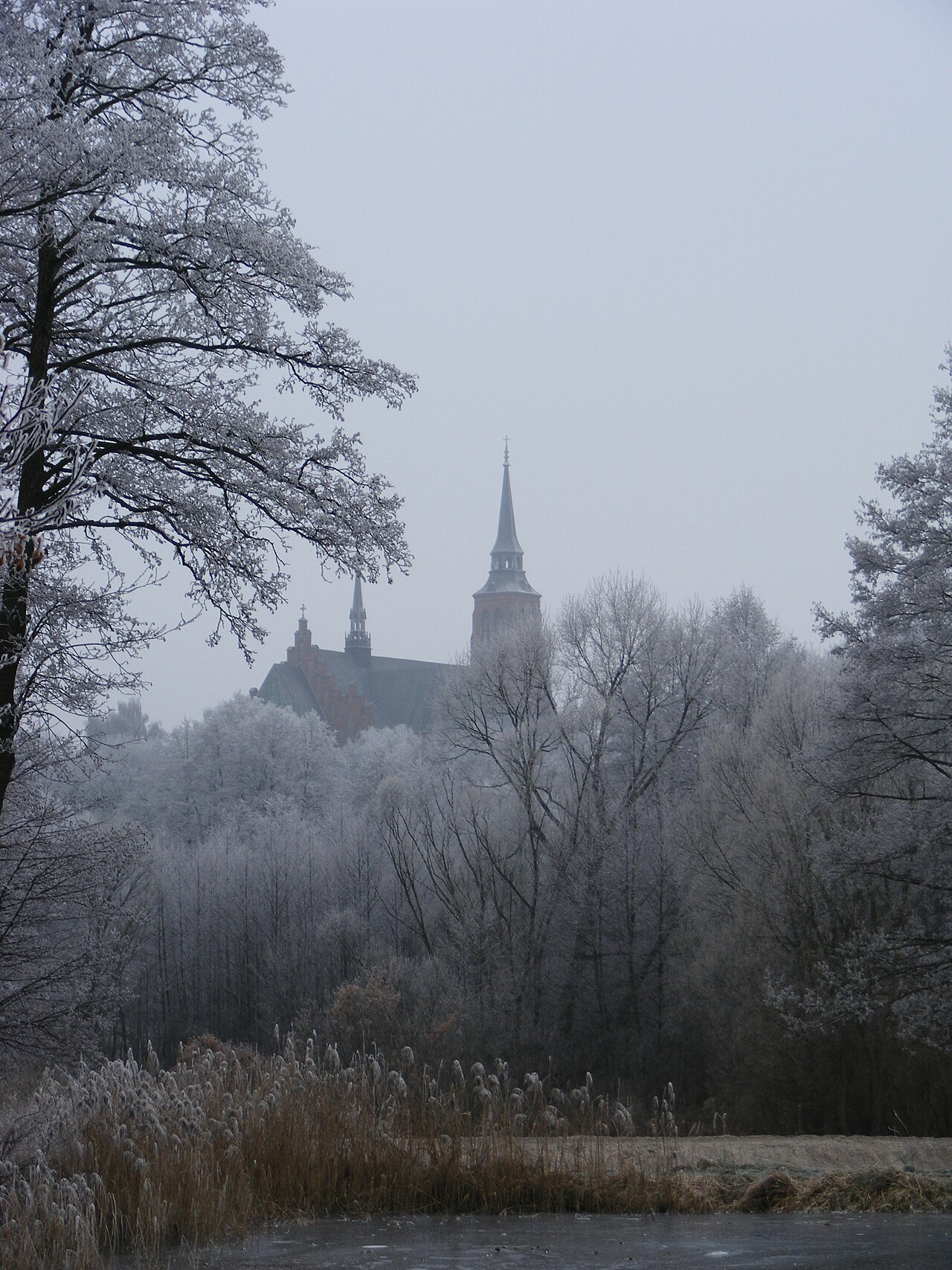 Widok miasta Stoczek Łukowski
