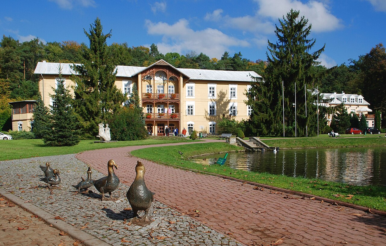 Widok miasta Nałęczów
