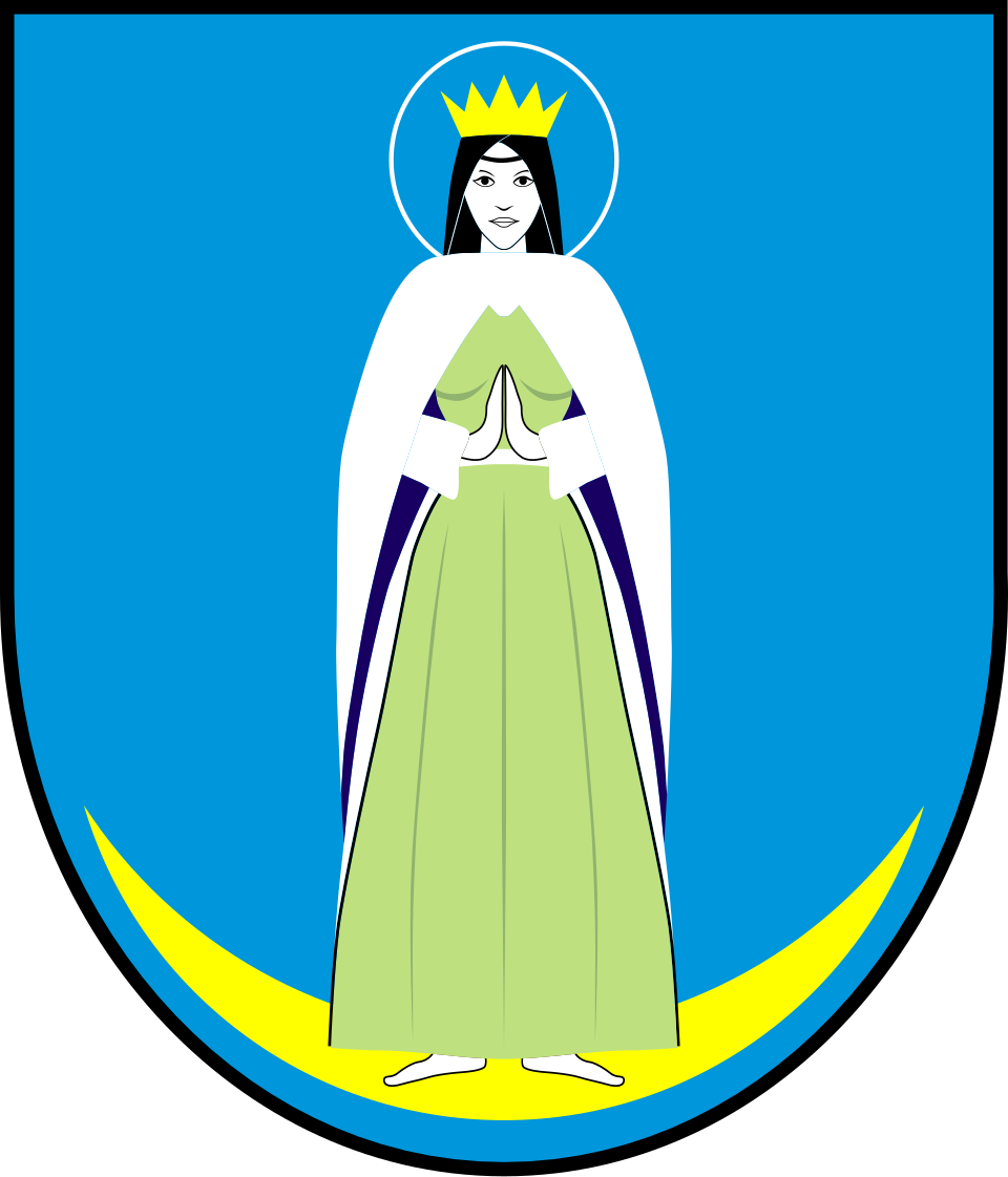 Herb miasta Czemierniki