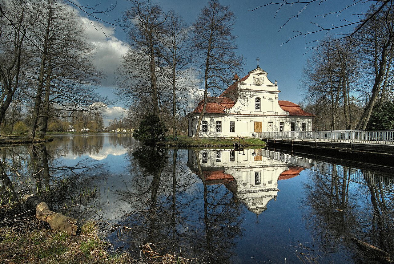 Widok miasta Zwierzyniec