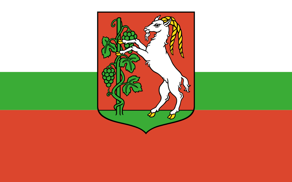 Flaga miasta Lublin
