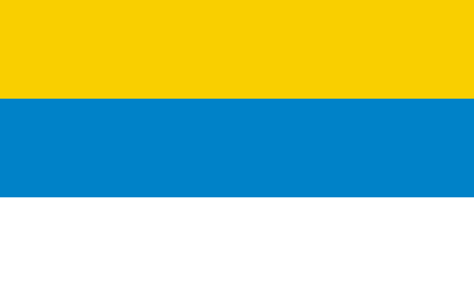 Flaga miasta Skwierzyna