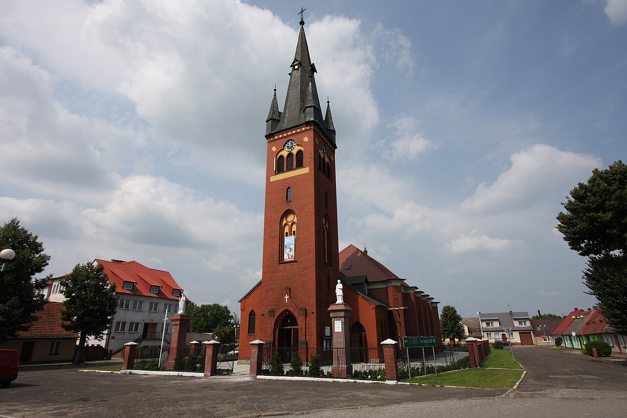 Widok miasta Trzciel