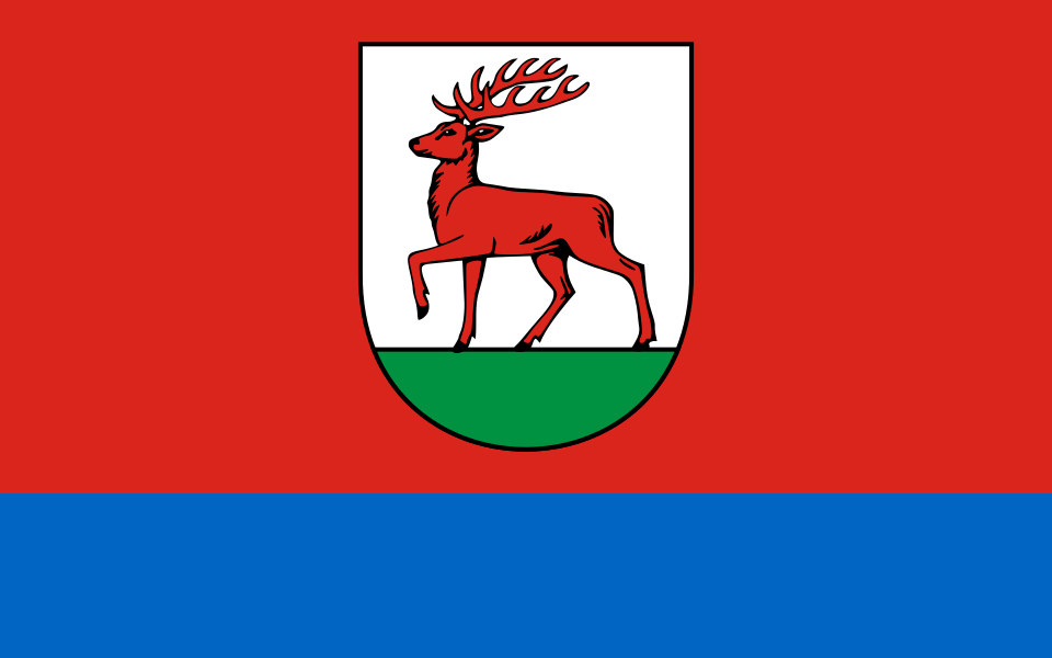 Flaga miasta Rzepin