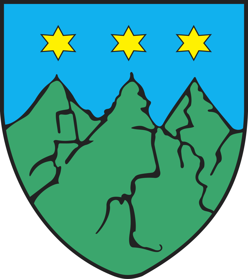 Herb miasta Torzym