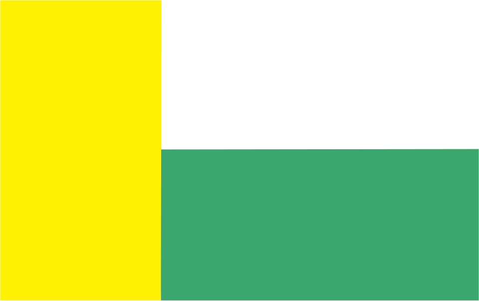 Flaga miasta Zielona Góra