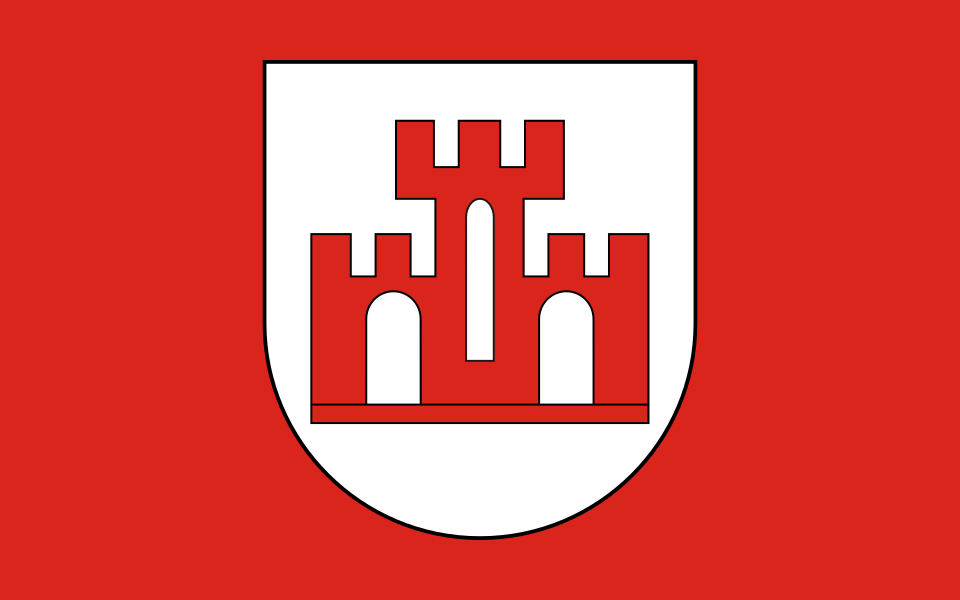 Flaga miasta Żychlin