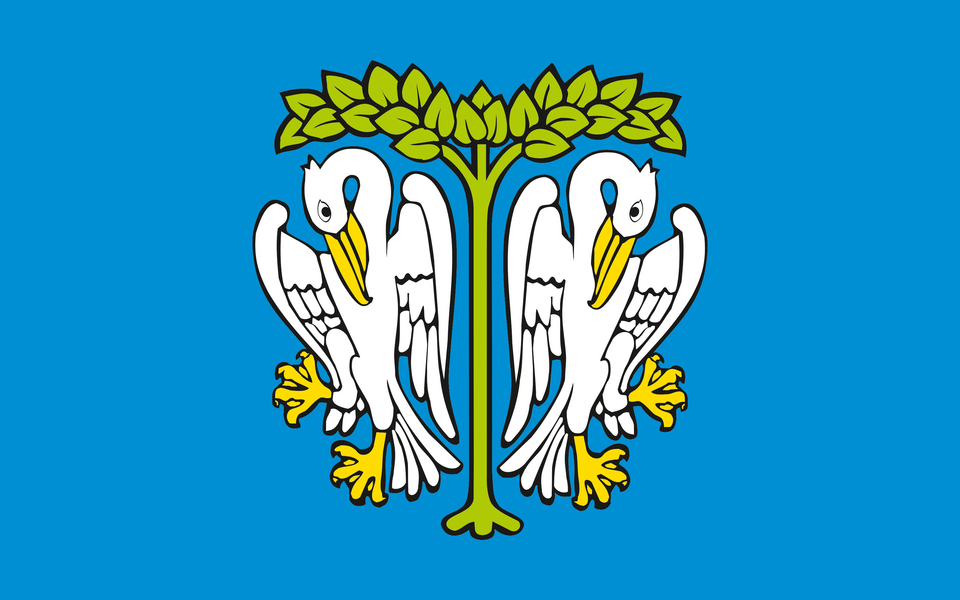 Flaga miasta Łowicz