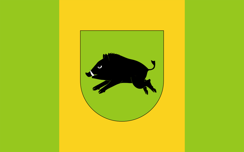 Flaga miasta Kiernozia