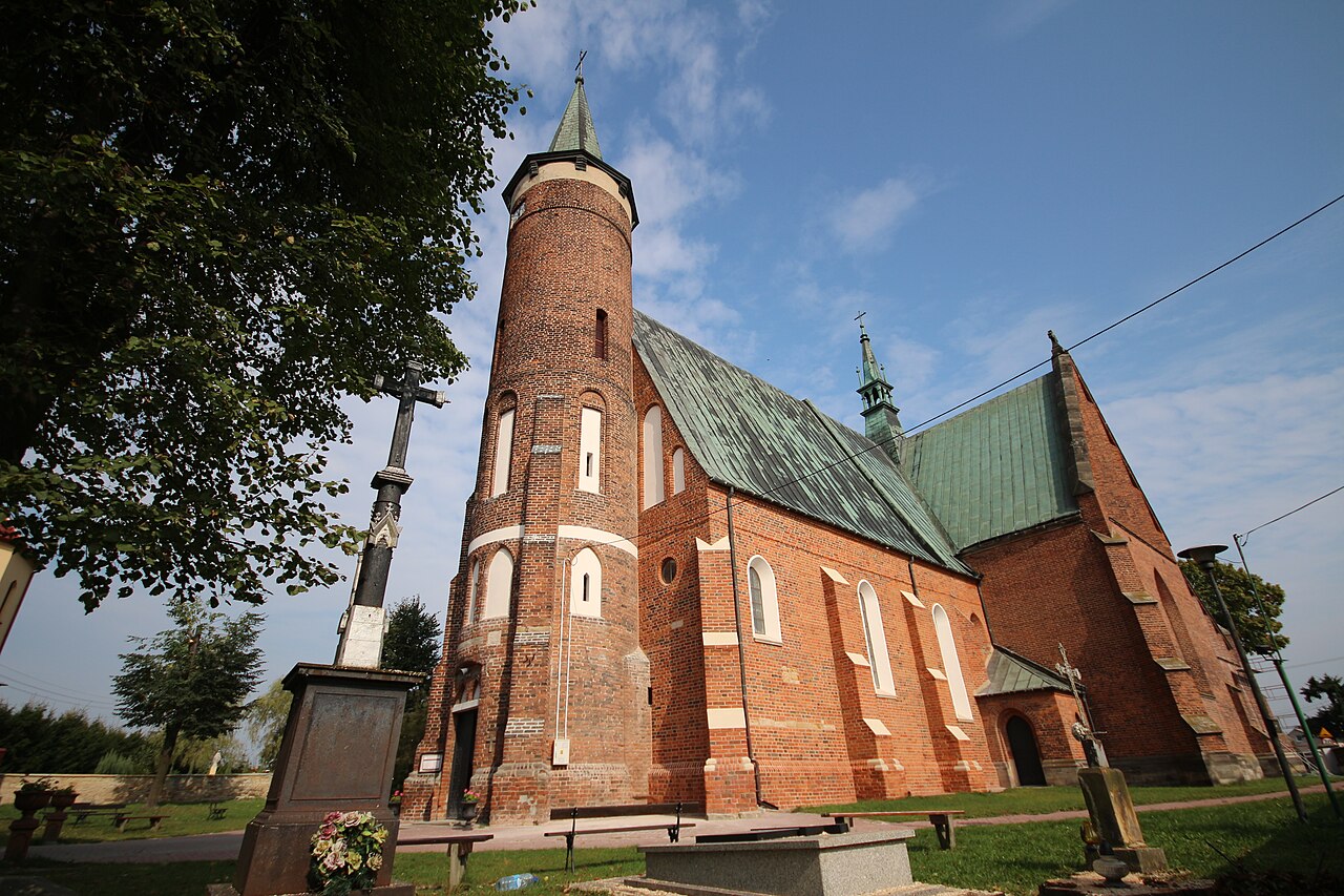 Widok miasta Drzewica