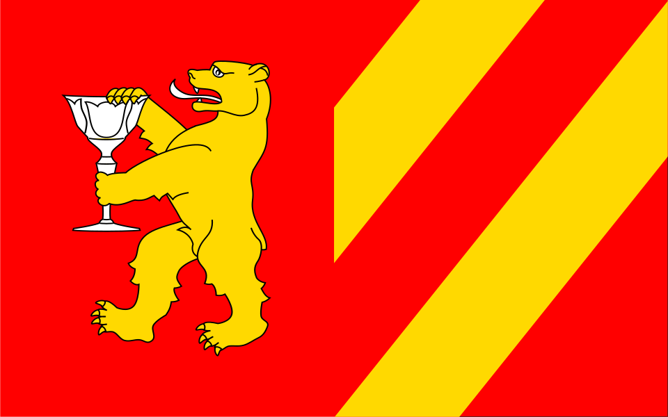 Flaga miasta Stronie Śląskie
