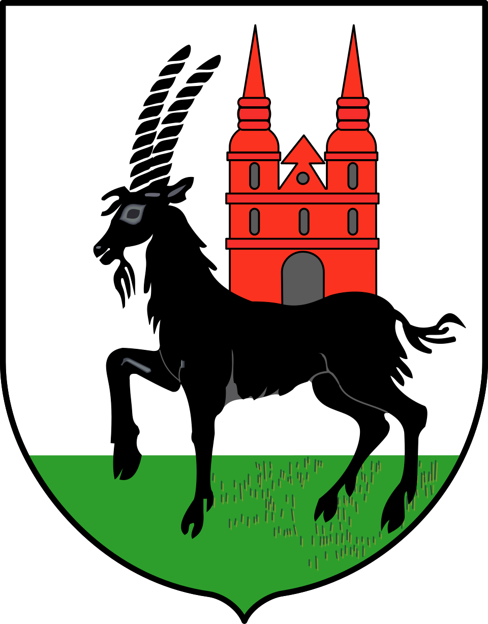 Herb miasta Wieruszów