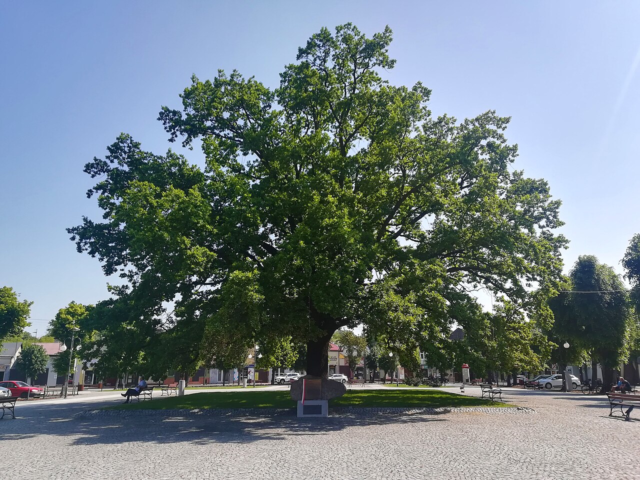 Widok miasta Głowno