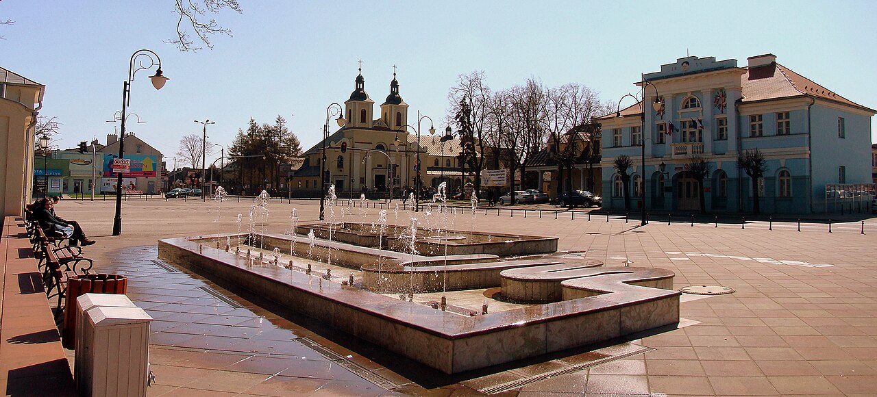 Widok miasta Aleksandrów Łódzki