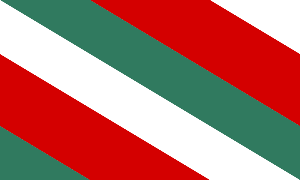 Flaga miasta Brzeziny