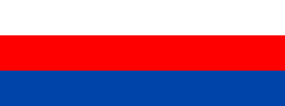 Flaga miasta Brzesko