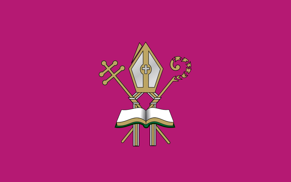 Flaga miasta Muszyna