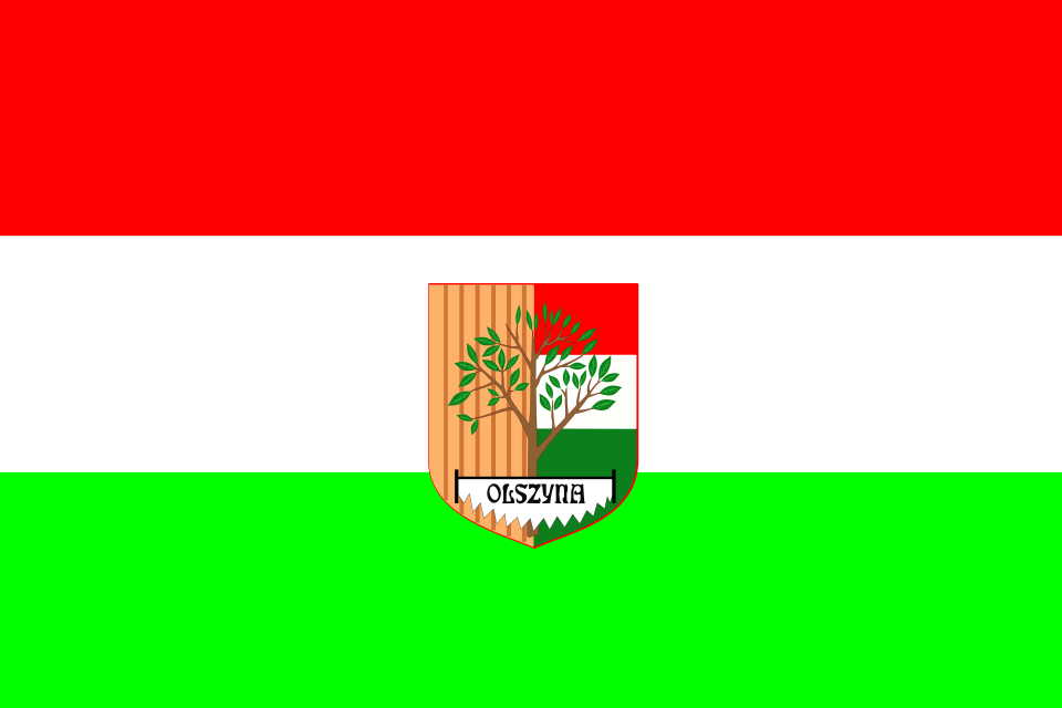 Flaga miasta Olszyna