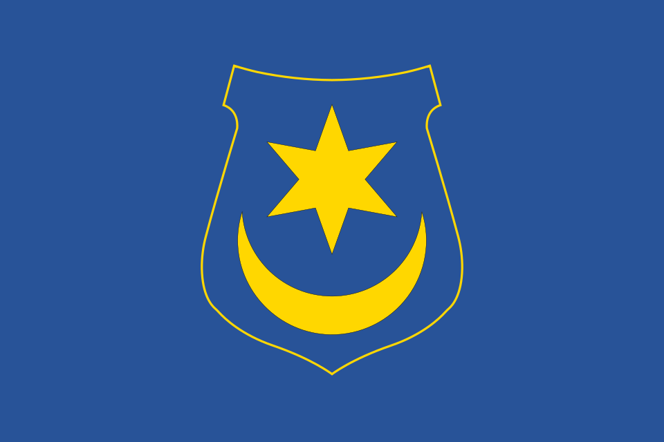 Flaga miasta Tarnów