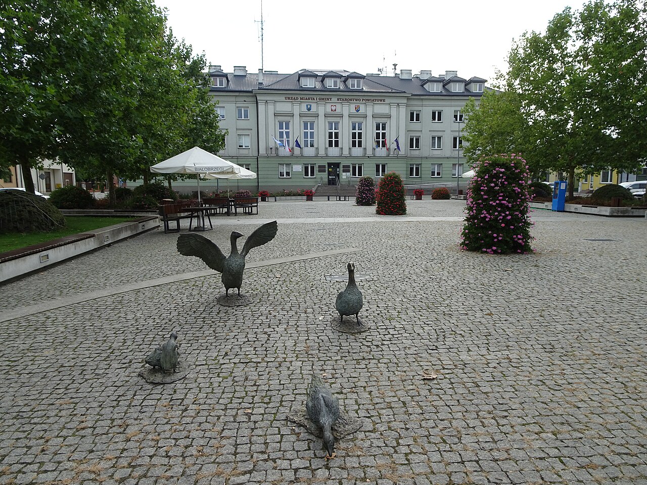 Widok miasta Białobrzegi