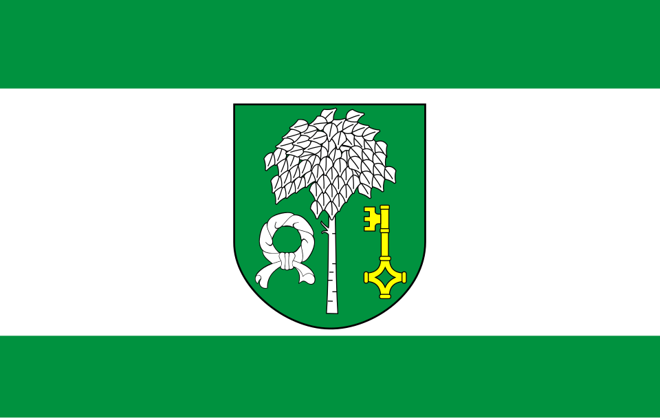 Flaga miasta Głowaczów