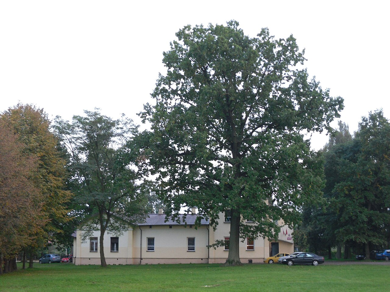 Widok miasta Halinów