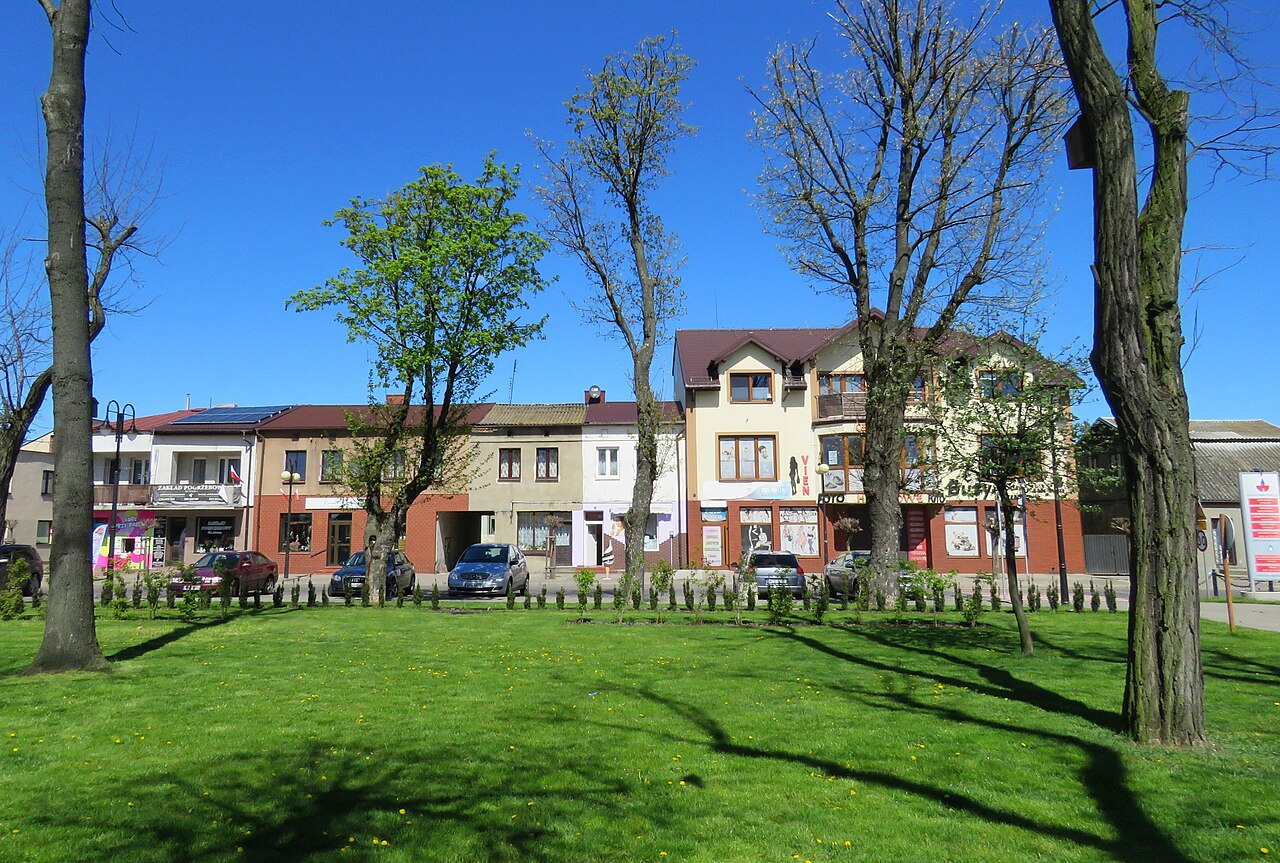 Widok miasta Raciąż