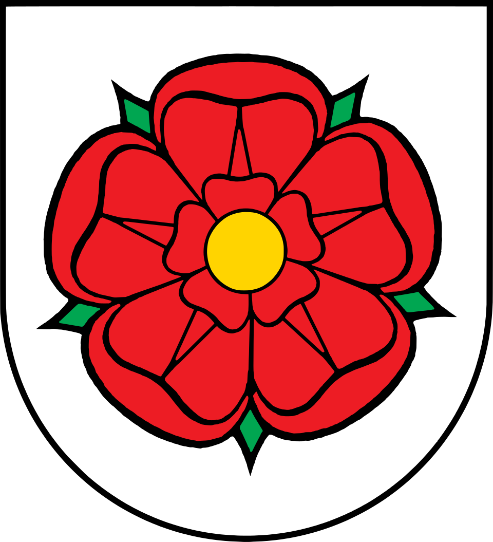 Herb miasta Sochocin