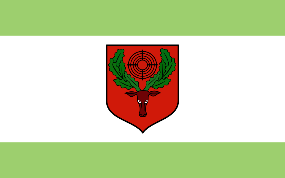 Flaga miasta Pionki