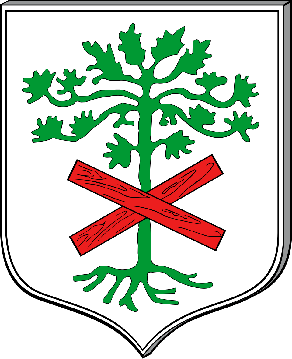 Herb miasta Międzybórz