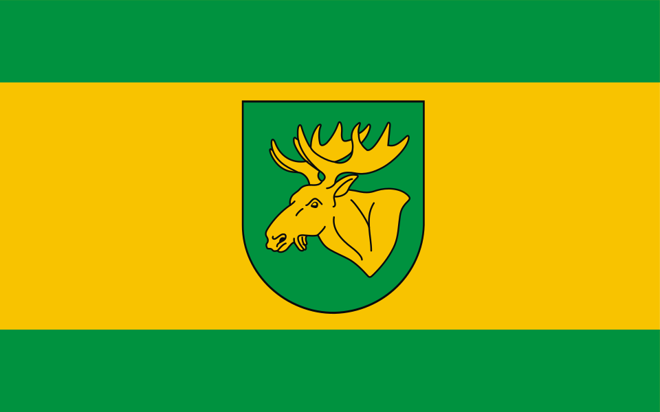 Flaga miasta Łochów