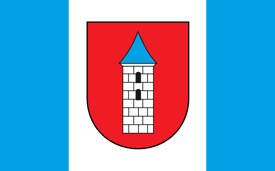 Flaga miasta Bieżuń