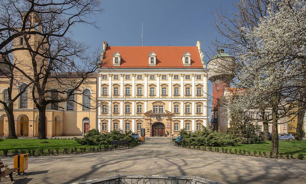 Widok miasta Oława