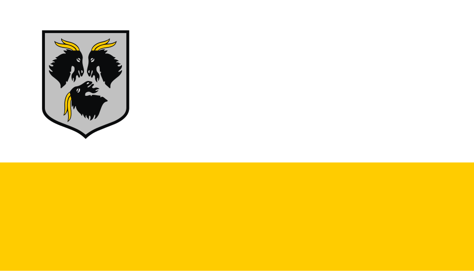 Flaga miasta Kędzierzyn-Koźle