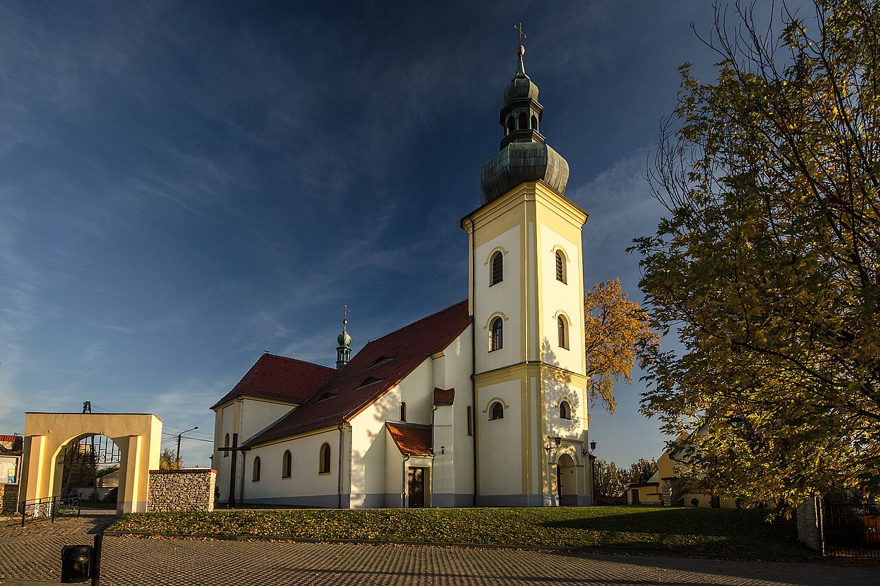 Widok miasta Leśnica