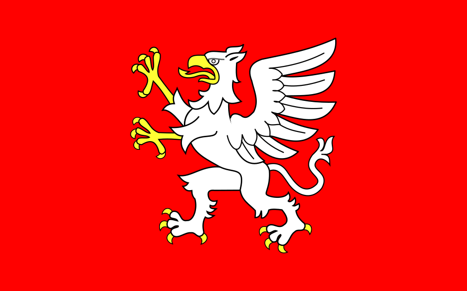 Flaga miasta Dębica