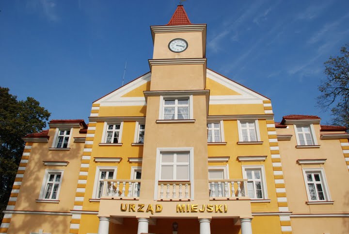 Widok miasta Dębica