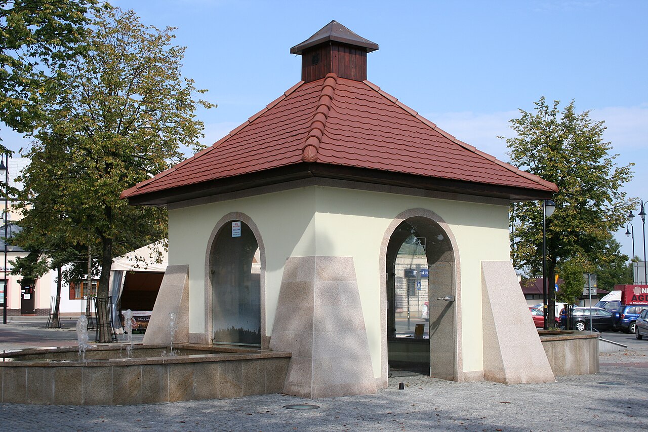 Widok miasta Kolbuszowa